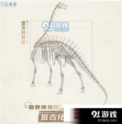 奇迹暖暖琥珀化石活动指南 使用方法详解
