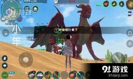 创造与魔法飞龙击晕与材料获取技巧