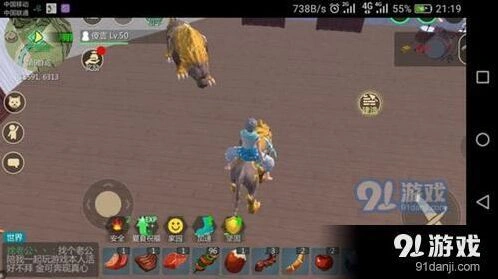 创造与魔法十级家园材料需求分析