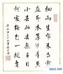 《何处》小雪节气梅花绽香地点