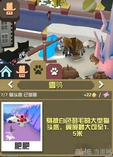疯狂动物园雪鸮