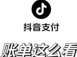 抖音商城消费总金额查看技巧