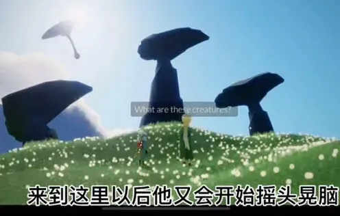 光遇小王子