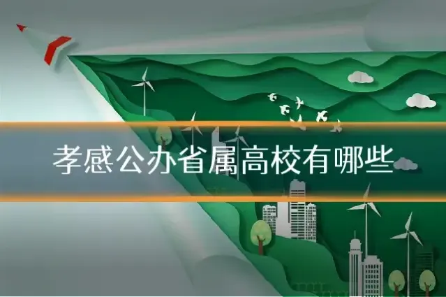 孝感公办省属高校有哪些