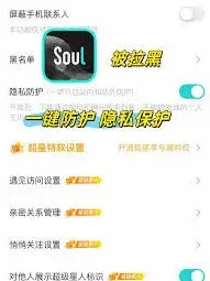 Soul语音聊天