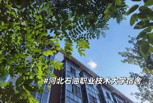 石油