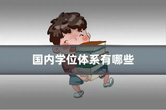 国内学位体系有哪些