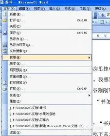 Word2010打印预览模式页边距调整教程