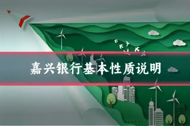 嘉兴银行基本性质说明