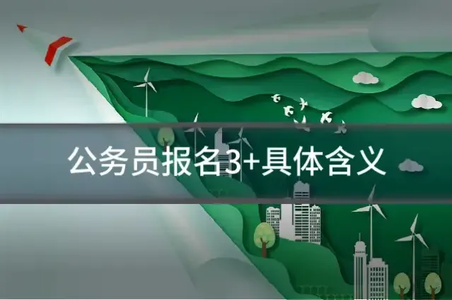 公务员报名3+具体含义