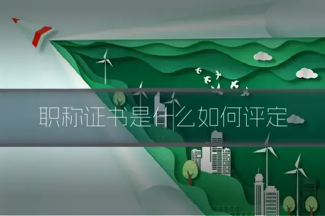职称证书是什么如何评定