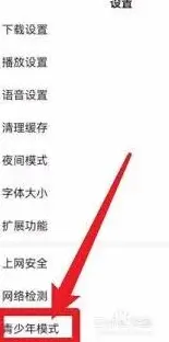 百度视频青少年模式设置全解