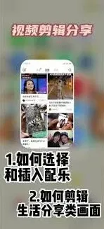 小红书背景音乐保存方法
