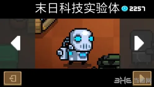 元气骑士实验体