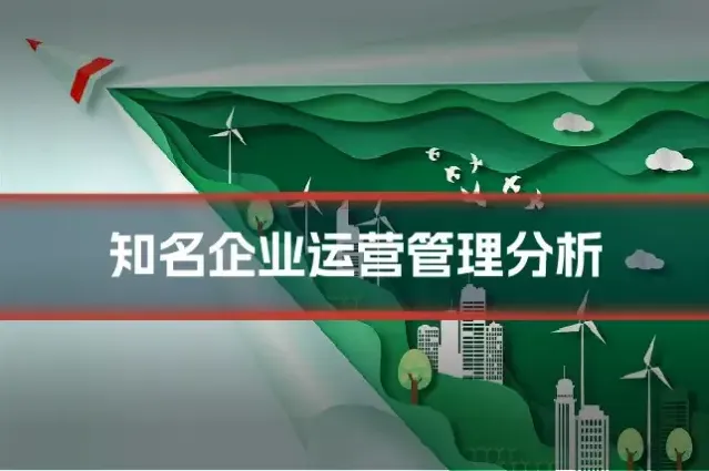 知名企业运营管理分析