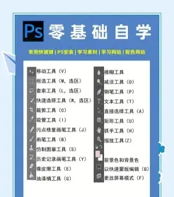 精力