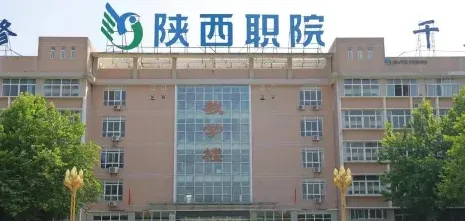 提供
