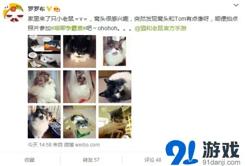 猫和老鼠还原