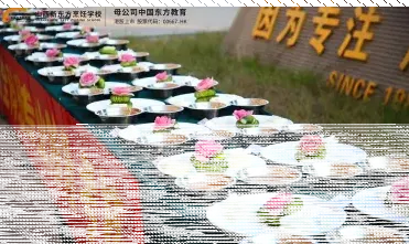 烹饪技巧