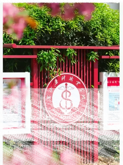 中心