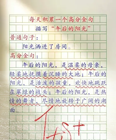 午后的阳光
