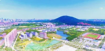 学校