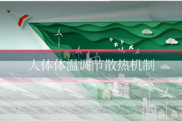 人体体温调节散热机制