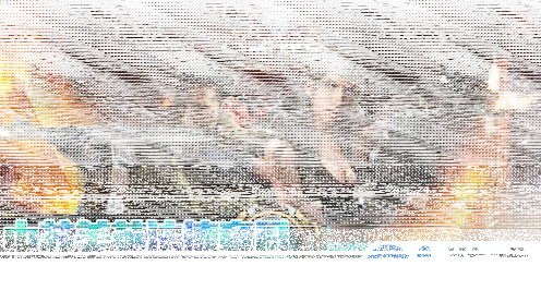 逐鹿战争策略