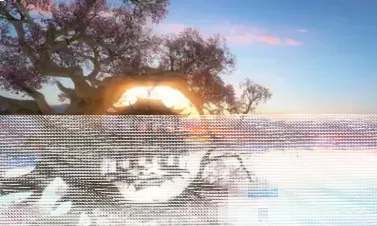 逆水寒闲话