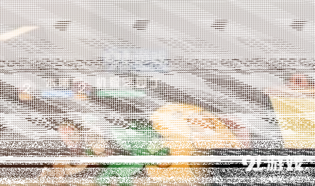 猫和老鼠讲解