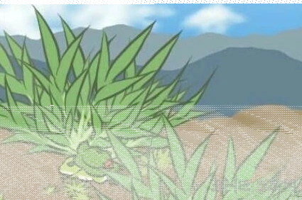 旅行青蛙道具一次性吗 问题详解