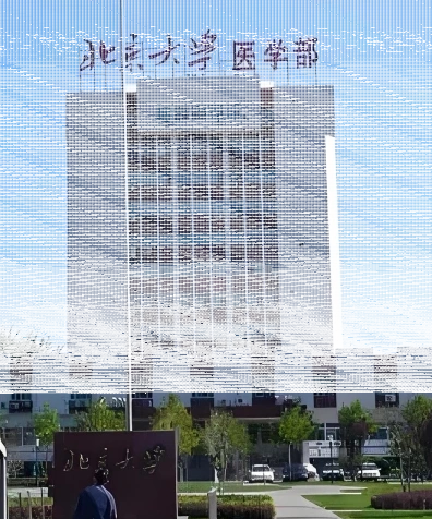 北京大学医学部