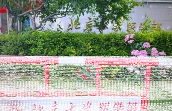 医学部