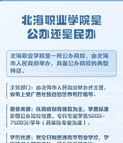 实训