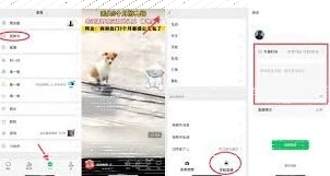 微信视频