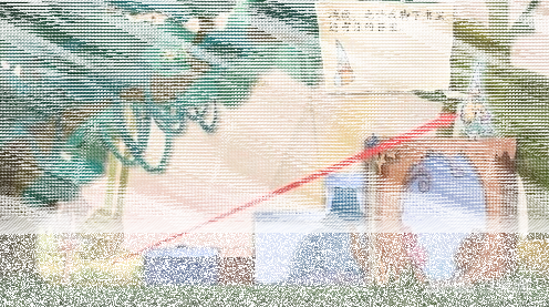 纸片少女攻略