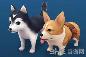 逃跑吧少年小彩蛋