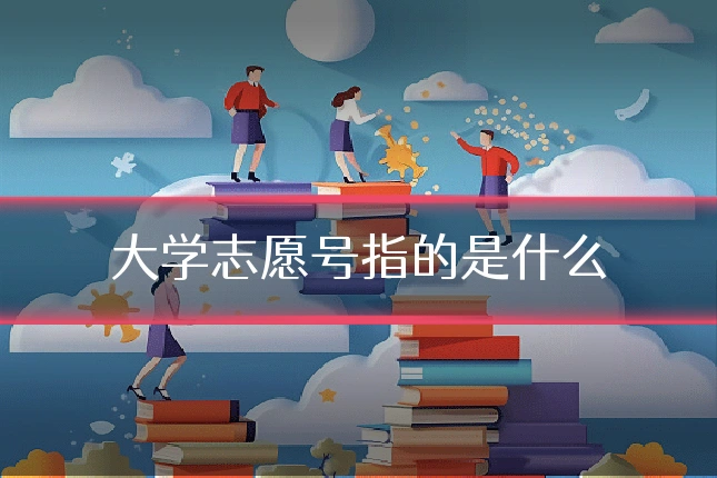 大学志愿号指的是什么