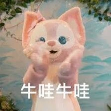 哪里能找到玲娜贝儿表情包合集