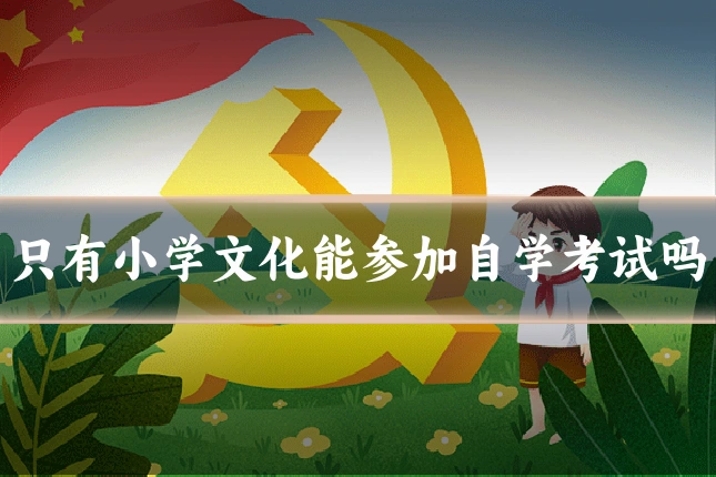 只有小学文化能参加自学考试吗