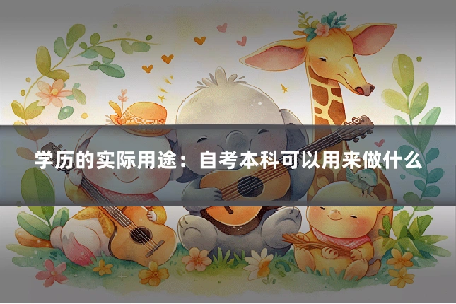 学历的实际用途:自考本科可以用来做什么