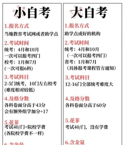 大自考