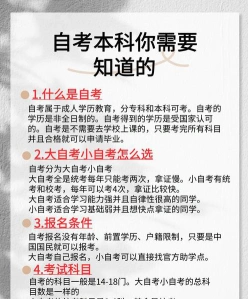 报名流程