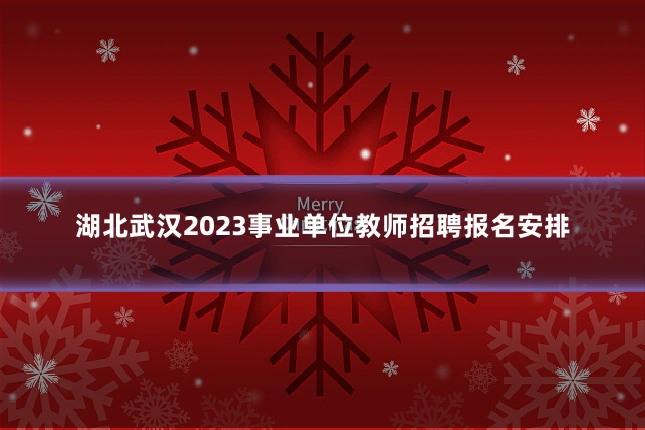 湖北武汉2023事业单位教师招聘报名安排