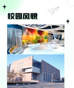 低分艺术院校