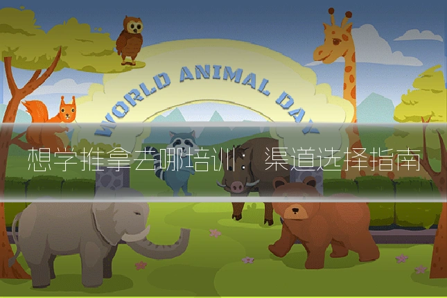 想学推拿去哪培训：渠道选择指南