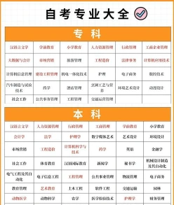 报考条件