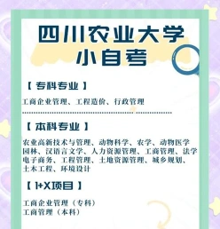 报名时间