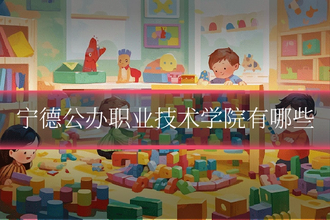宁德公办职业技术学院有哪些