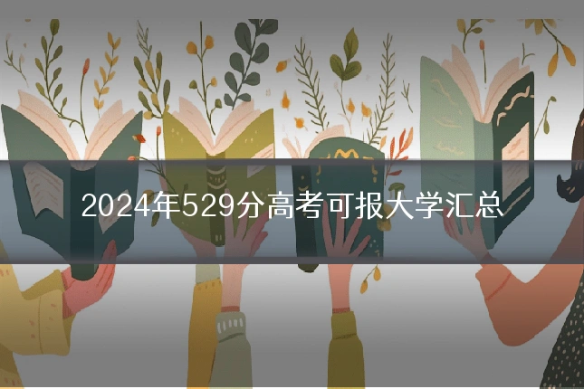2024年529分高考可报大学汇总